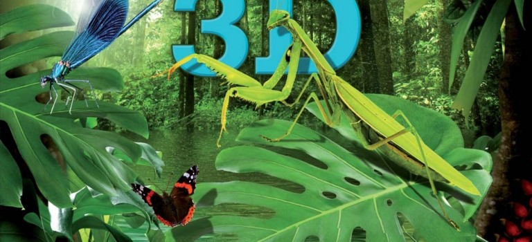 Big Bugs 3D