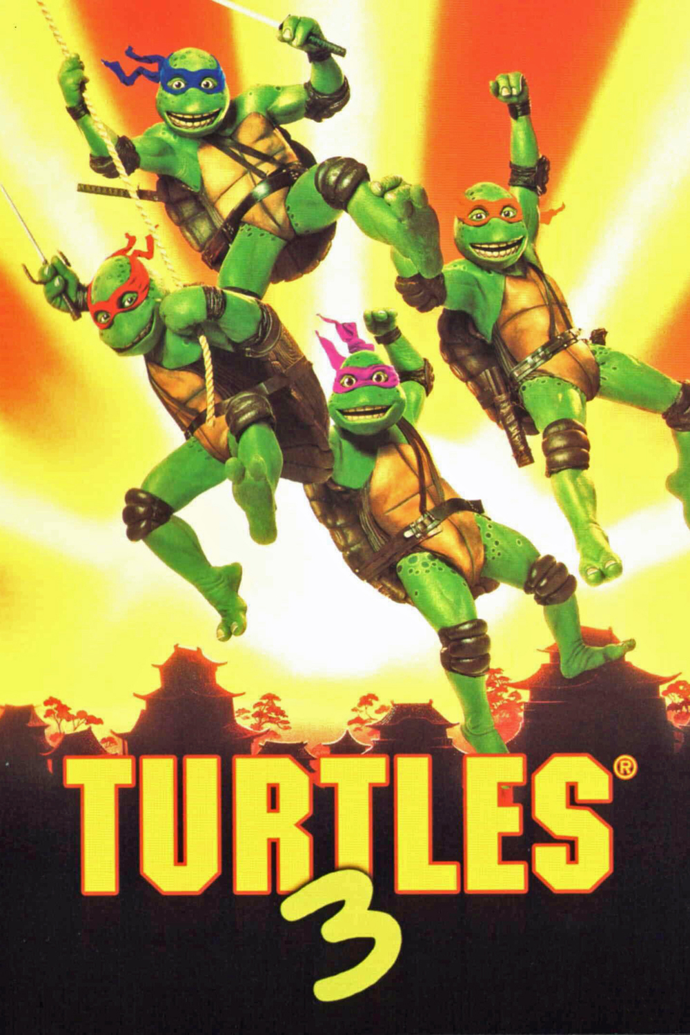 Plakat von "Turtles III"