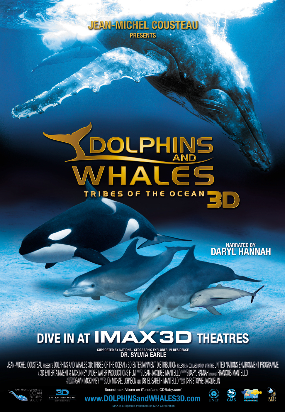 Plakat von "Delfine und Wale"