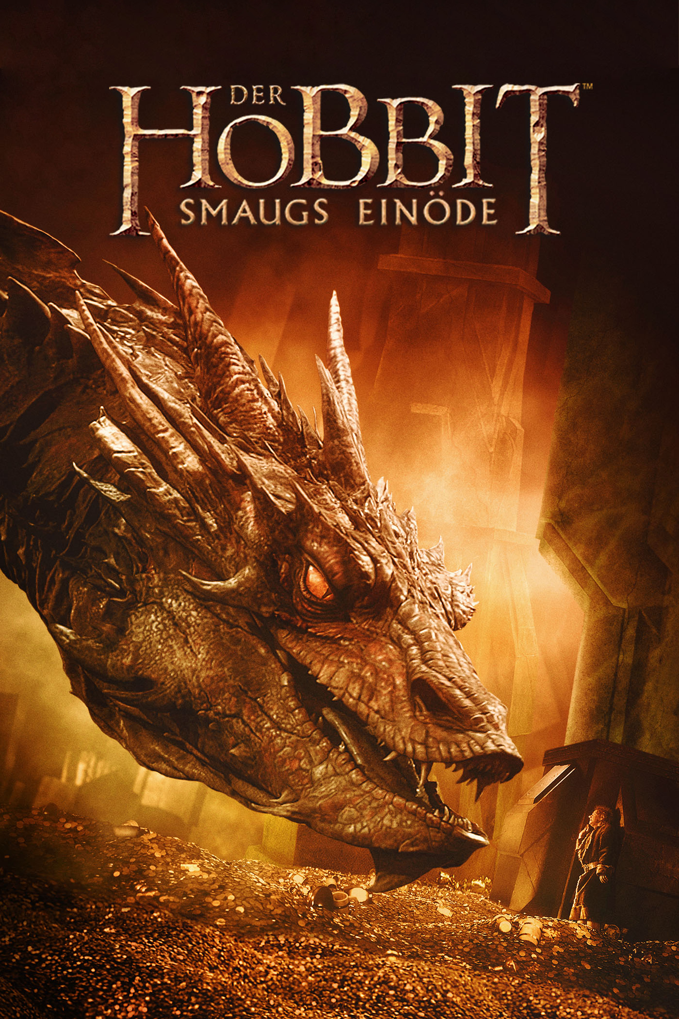 Plakat von "Der Hobbit - Smaugs Einöde"