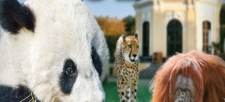 Zoo Vienna 3D – Der Tiergarten Schönbrunn