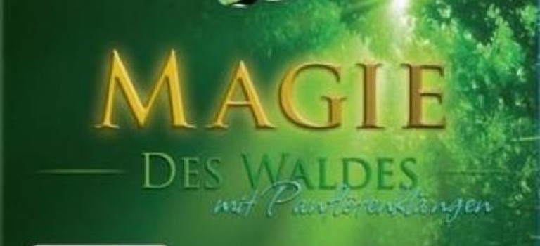 Magie des Waldes 3d